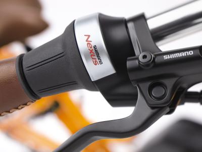 Electra Townie Commute Go! 5i Step Thru EU M Tangerine Produktbild 8