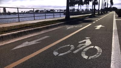 Trek Allant+ 6 Lowstep M Juniper 725 Produktbild 2