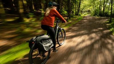 Trek Powerfly+ 6 EU XL 29 Sunburst/Dark Star Produktbild 10